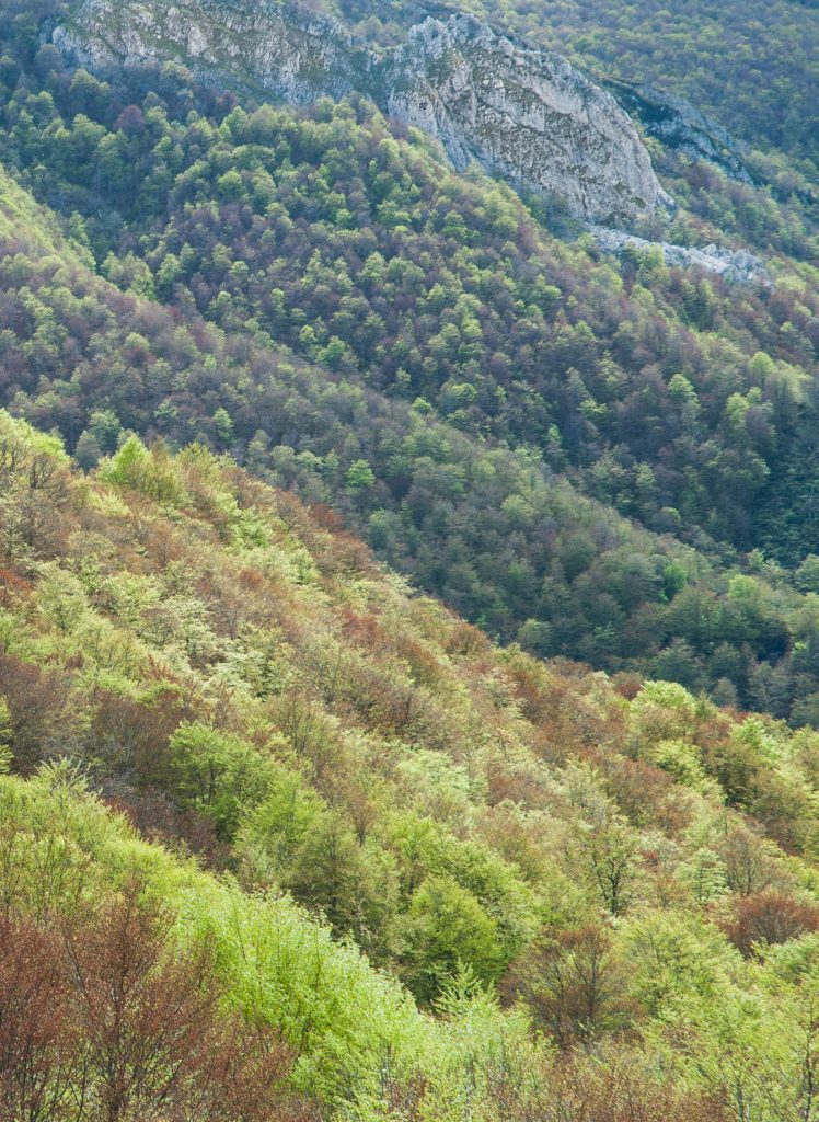 asturias